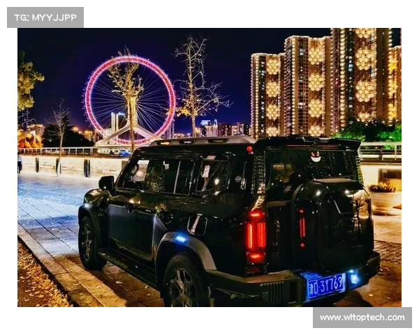 揭秘神兽森林秘境探险五大必备技巧助你轻松征服未知领域